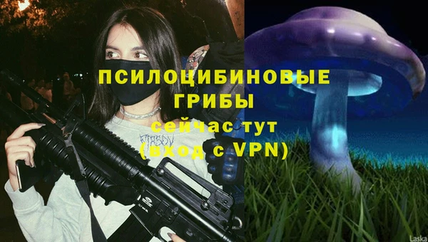 синтетический гашиш Алексин